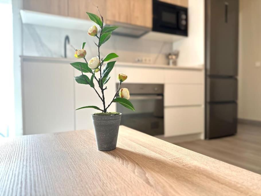 Apartamentos Rincon Andaluz 4 قرطبة المظهر الخارجي الصورة