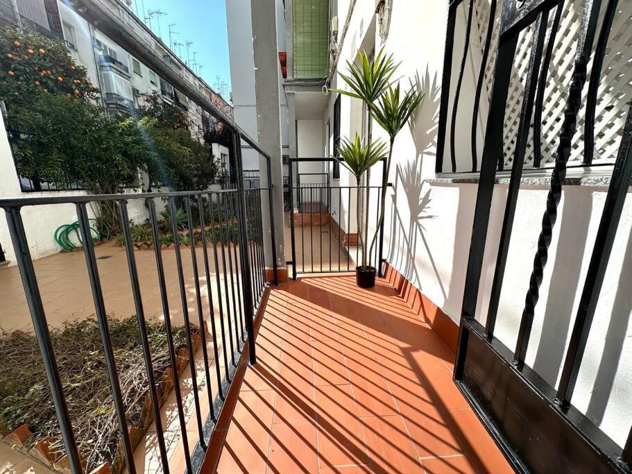Apartamentos Rincon Andaluz 4 قرطبة المظهر الخارجي الصورة